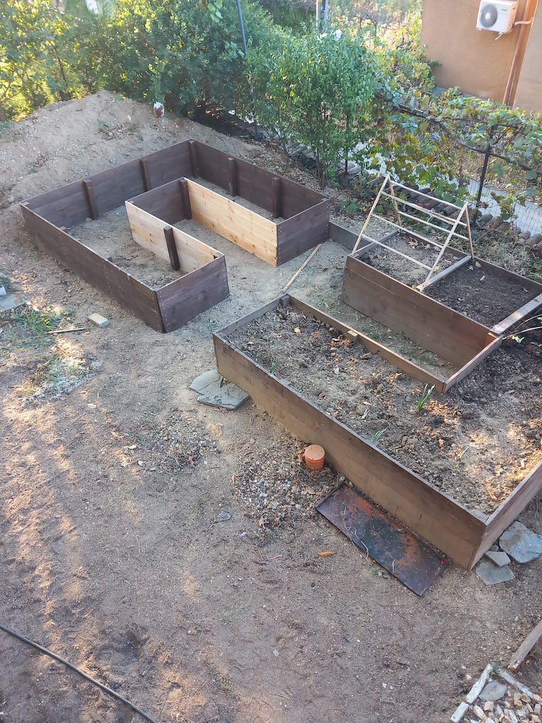 Raised bed.jpg